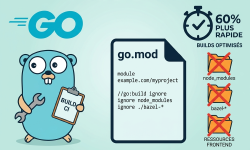 Featured image of post Comment optimiser vos builds/tests Go en ignorant certains fichiers dans go.mod